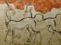 DSC 0353 ji