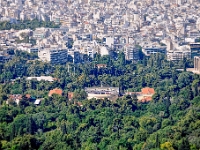 DSC 1403 ji