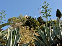 DSC 1442 ji