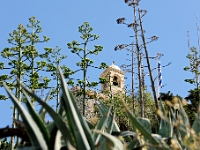 DSC 1464 ji