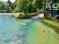DSC 2533 ji : BIH, Bosnien und Herzegowina, Federation of Bosnia and Herzegovina, Bihac, Bihać, Brücke Drveni most