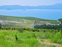 DSC 0735 ji : Dubrovačko-Neretvanska, HRV, Kroatien, Raba