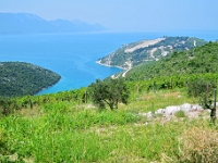 DSC 0736 ji : Dubrovačko-Neretvanska, HRV, Kroatien, Raba