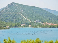 DSC 0756 ji : Dubrovačko-Neretvanska, HRV, Kroatien, Mali Ston, Mali Voz