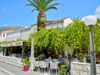 DSC 0763 ji : Dubrovačko-Neretvanska, HRV, Kroatien, Slano