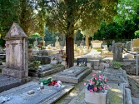DSC 0988 ji : Dubrovačko-Neretvanska, Dubrovnik, HRV, Kroatien