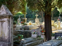 DSC 0989 ji : Dubrovačko-Neretvanska, Dubrovnik, HRV, Kroatien