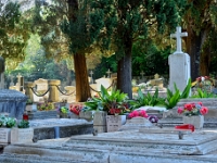 DSC 0990 ji : Dubrovačko-Neretvanska, Dubrovnik, HRV, Kroatien