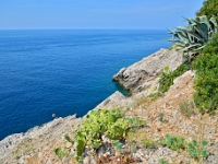 DSC 1003 ji : Dubrovačko-Neretvanska, Dubrovnik, HRV, Kroatien