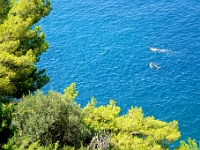 DSC 1020 ji : Dubrovačko-Neretvanska, Dubrovnik, HRV, Kroatien