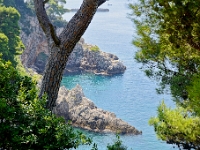DSC 1023 ji : Dubrovačko-Neretvanska, Dubrovnik, HRV, Kroatien