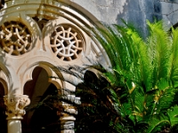 DSC 1285 ji : Bosanka, Dubrovačko-Neretvanska, HRV, Kroatien