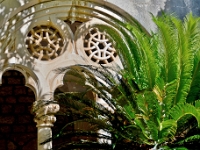 DSC 1287 ji : Bosanka, Dubrovačko-Neretvanska, HRV, Kroatien