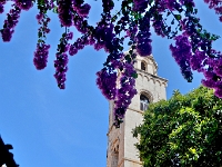 DSC 1300 ji : Dubrovačko-Neretvanska, Dubrovnik, HRV, Kroatien