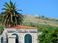 DSC 1390 ji : Dubrovačko-Neretvanska, Dubrovnik, HRV, Kroatien