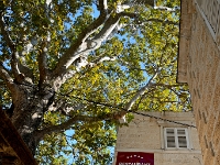 DSC 1391 ji : Dubrovačko-Neretvanska, Dubrovnik, HRV, Kroatien