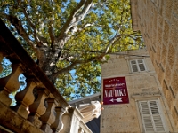 DSC 1393 ji : Dubrovačko-Neretvanska, Dubrovnik, HRV, Kroatien