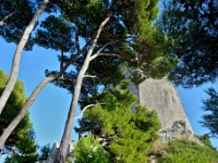 DSC 1404 ji : Dubrovačko-Neretvanska, Dubrovnik, HRV, Kroatien