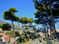 DSC 1445 ji : Dubrovačko-Neretvanska, Dubrovnik, HRV, Kroatien