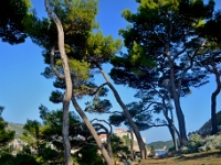DSC 1446 ji : Dubrovačko-Neretvanska, Dubrovnik, HRV, Kroatien
