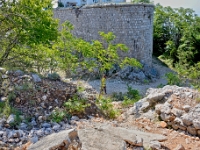 DSC 1502 ji : Dubrovačko-Neretvanska, Dubrovnik, HRV, Kroatien