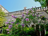 DSC 1638 ji : Dubrovačko-Neretvanska, Dubrovnik, HRV, Kroatien