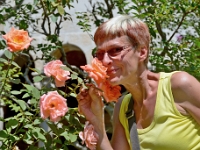 DSC 1641 ji : Dubrovačko-Neretvanska, Dubrovnik, HRV, Kroatien