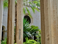 DSC 1650 ji : Dubrovačko-Neretvanska, Dubrovnik, HRV, Kroatien