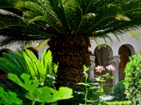 DSC 1655 ji : Dubrovačko-Neretvanska, Dubrovnik, HRV, Kroatien
