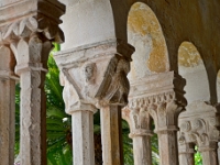 DSC 1723 ji : Dubrovačko-Neretvanska, Dubrovnik, HRV, Kroatien