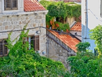DSC 1929 ji : Dubrovačko-Neretvanska, Dubrovnik, HRV, Kroatien