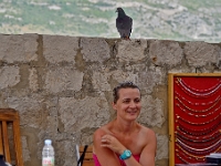 DSC 1966 ji : Dubrovačko-Neretvanska, Dubrovnik, HRV, Kroatien