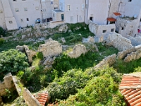 DSC 1971 ji : Dubrovačko-Neretvanska, Dubrovnik, HRV, Kroatien