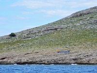 DSC 0099 ji : HRV, Kornati, Kroatien, Å ibensko-Kninska