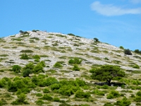 DSC 0232 ji : HRV, Kroatien, Nationalpark Kornaten, Å ibensko-Kninska