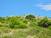 DSC 0256 ji : HRV, Kroatien, Nationalpark Kornaten, Å ibensko-Kninska