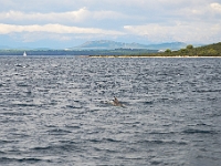 DSC 0327 ji : HRV, Kroatien, Nationalpark Kornaten, Šibensko-Kninska