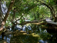 DSC 9477 ji