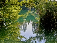 DSC 9565 ji