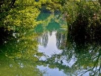 DSC 9566 ji