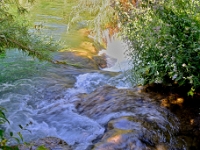 DSC 9574 ji