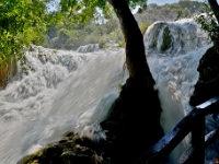 DSC 9730 ji : HRV, Kroatien, Skradinski Buk, Šibensko-Kninska