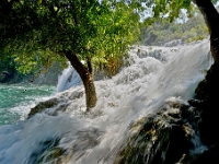 DSC 9735 ji : HRV, Kroatien, Skradinski Buk, Šibensko-Kninska