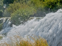 DSC 9744 ji : HRV, Kroatien, Skradinski Buk, Šibensko-Kninska