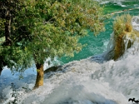 DSC 9746 ji : HRV, Kroatien, Skradinski Buk, Šibensko-Kninska