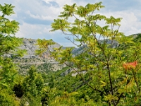 DSC 9790 ji : Nationalpark Krka, HRV, Ključ, Kroatien, Šibensko-Kninska