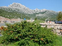 DSC 2481 ji : HRV, Kroatien, Obrovac, Zadarska