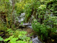 DSC 3017 ji : HRV, Kroatien, Ličko-Senjska, Nationalpark Plitvicer Seen