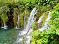 DSC 3025 ji : HRV, Kroatien, Ličko-Senjska, Nationalpark Plitvicer Seen