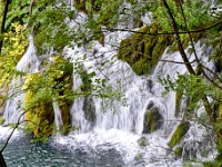 DSC 3037 ji : HRV, Kroatien, Ličko-Senjska, Nationalpark Plitvicer Seen